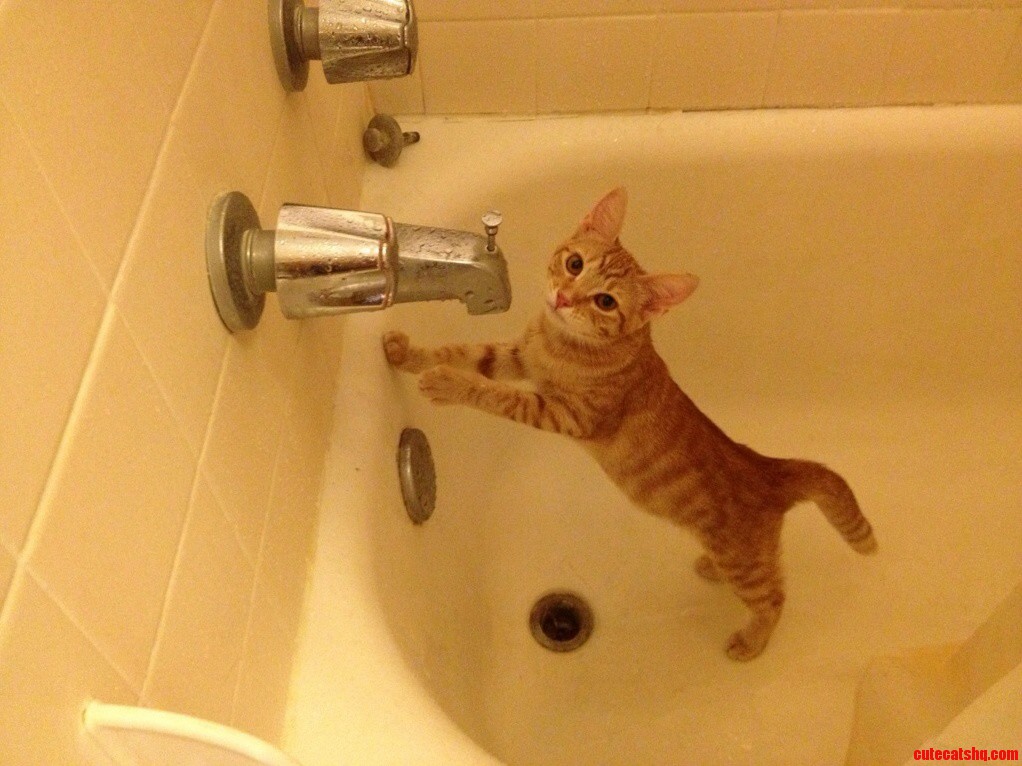 Im Thirsty Gimme