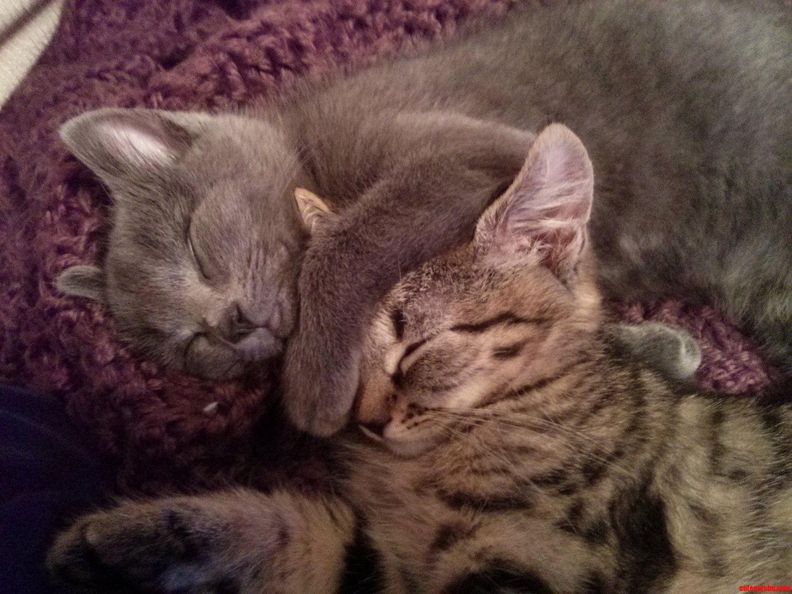 Inseparable Xpost from Raww