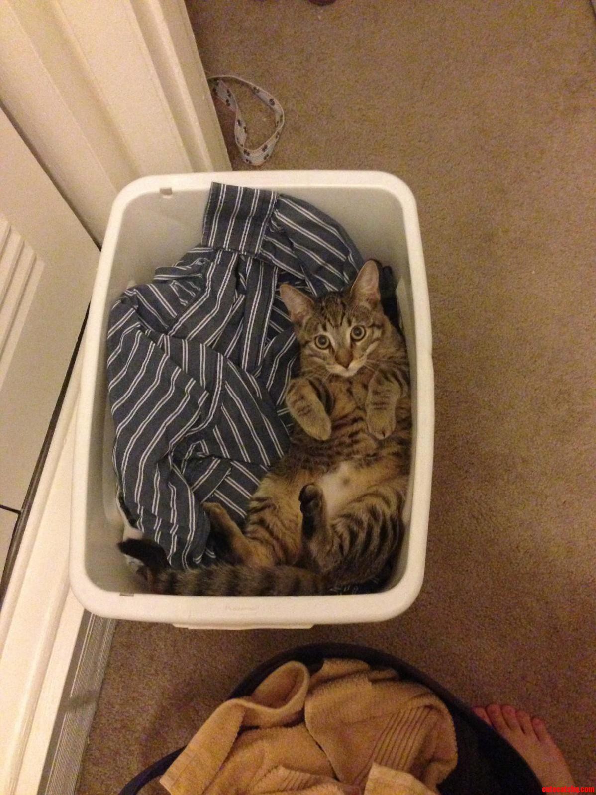It Always Has to Be Clean Clothes...