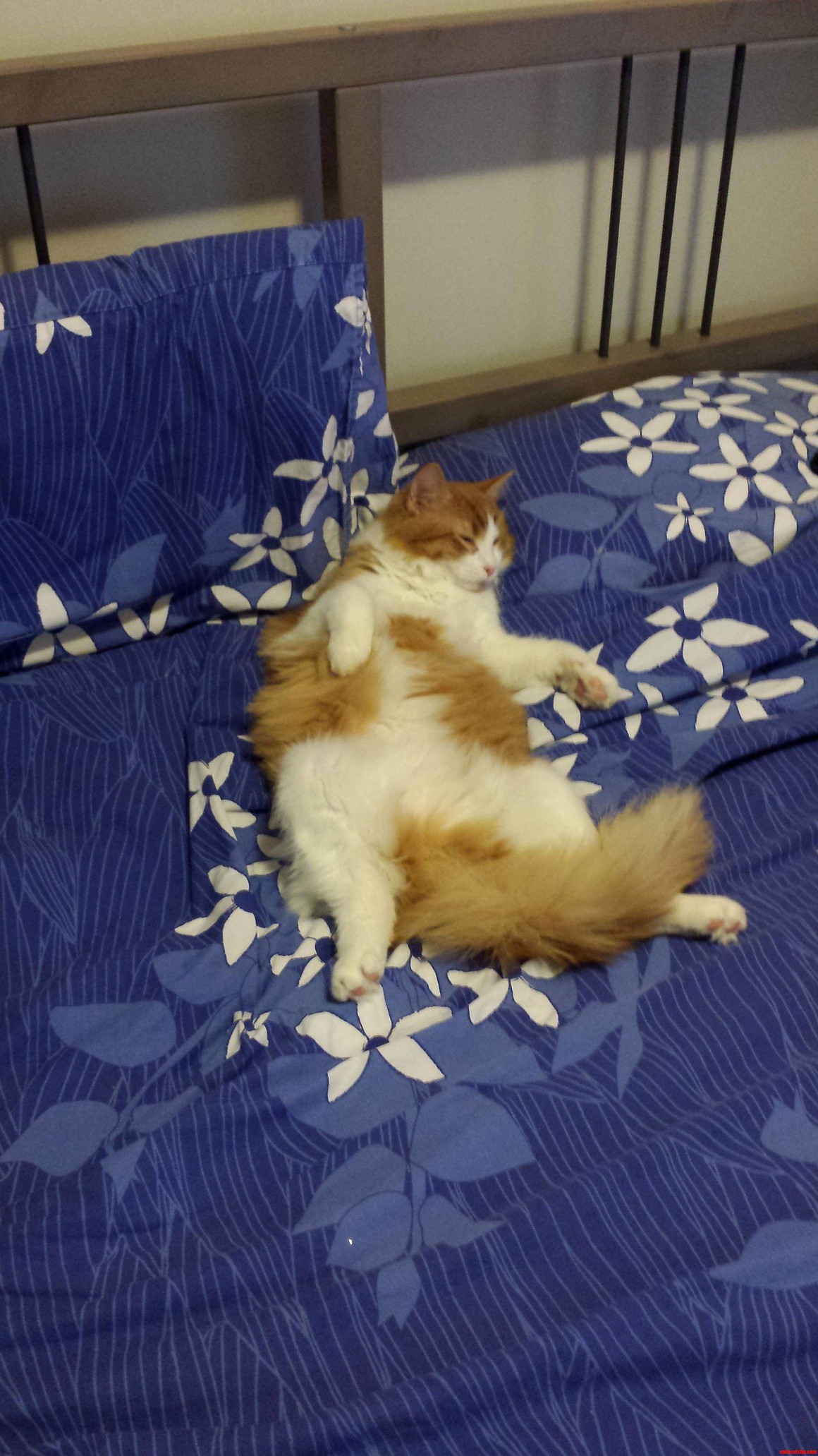 Its a Hard Knock Life for Me.