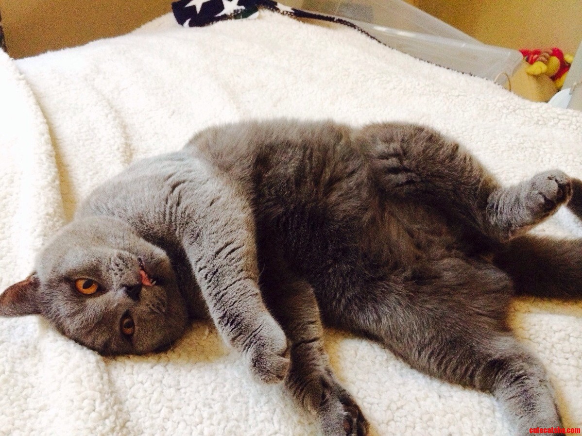 Its Been Hot Here - Someone Does Not Like It