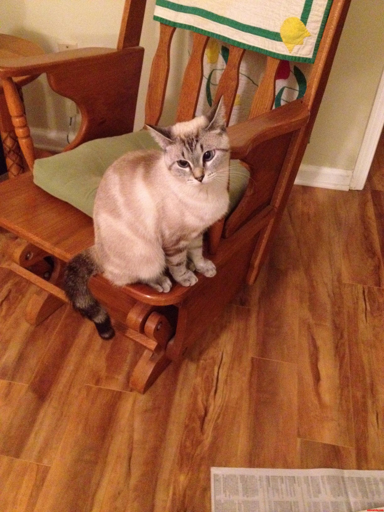 Its Her 1st Birthday