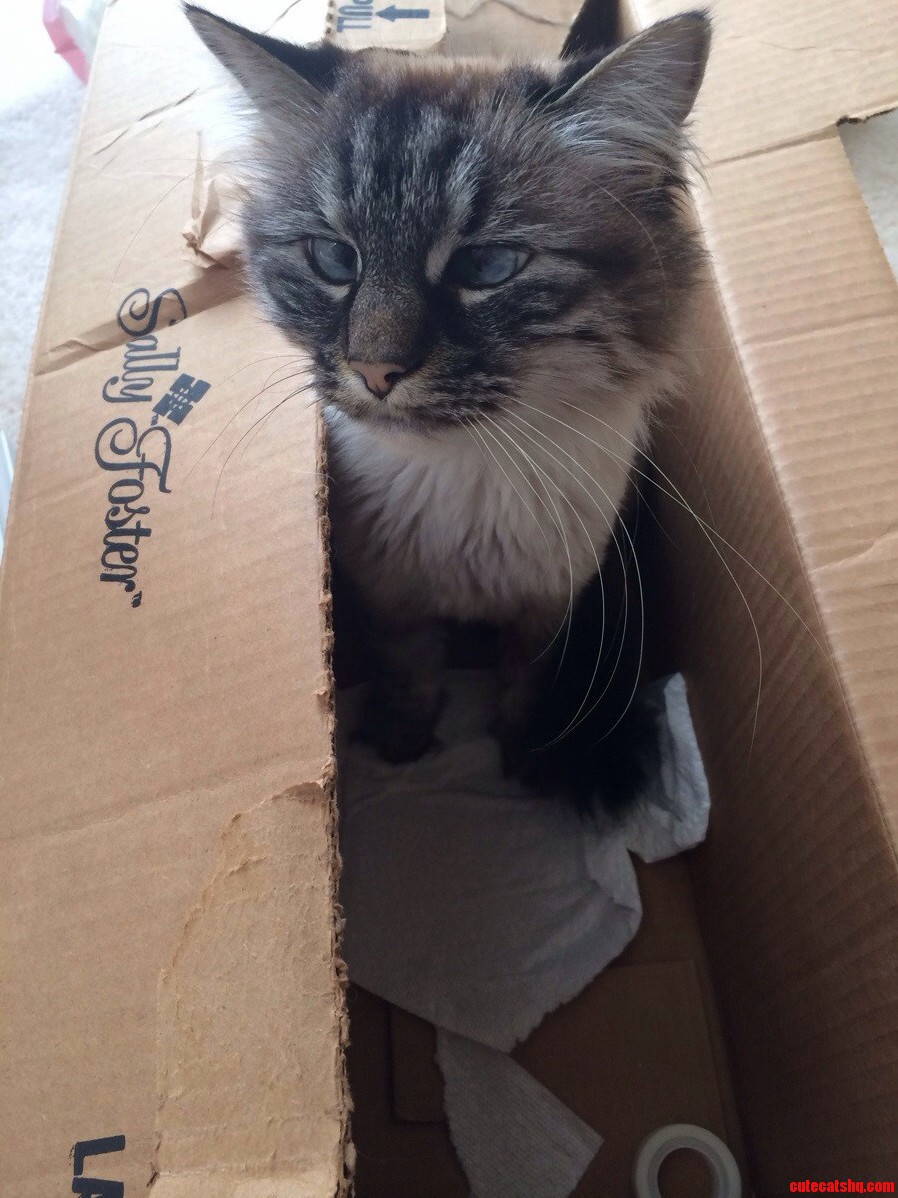 Its That Time of the Year Again.. for Boxes