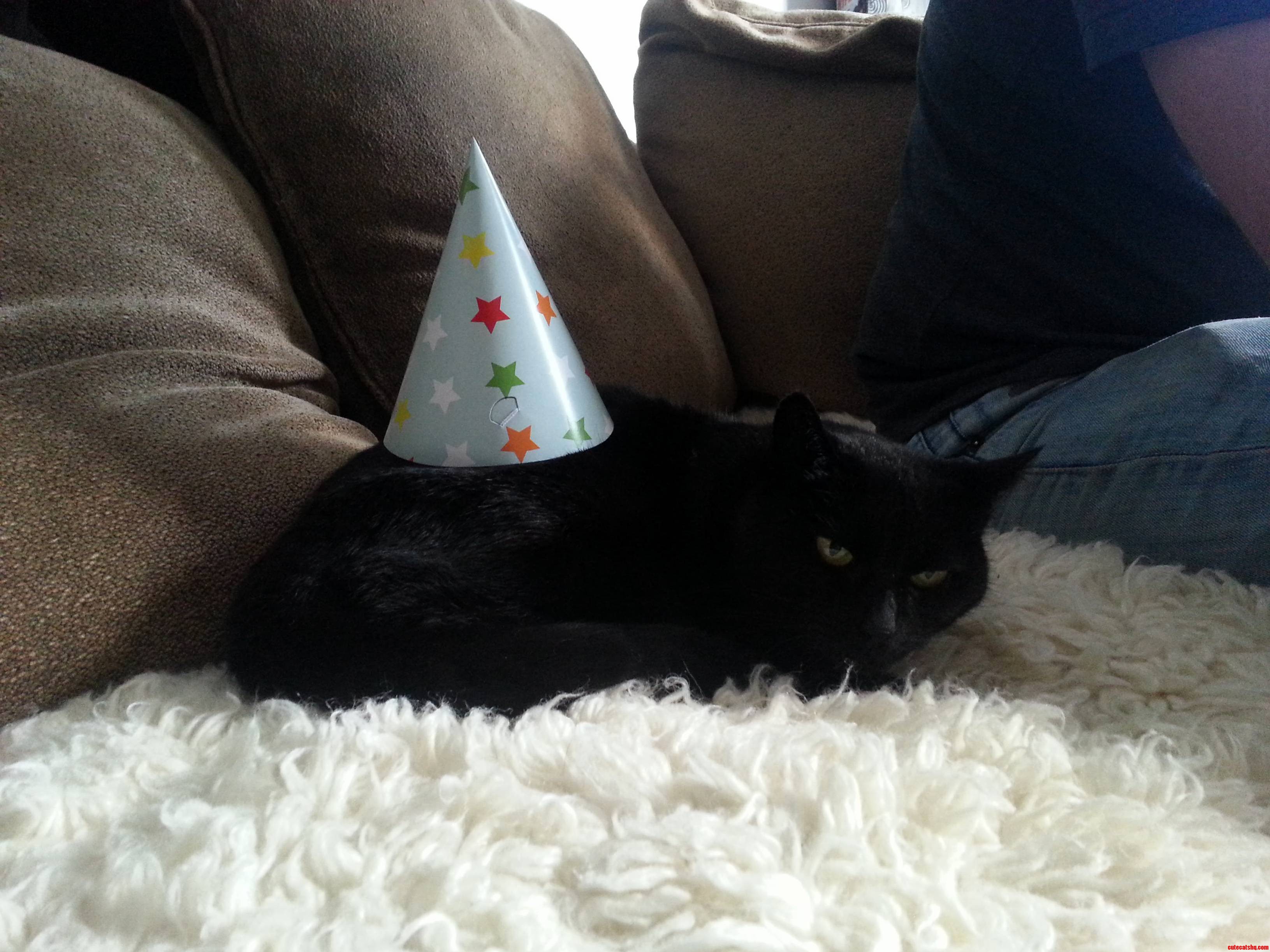 Iz Not Party.