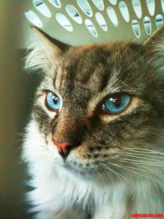 Jagger Is Such a Prettyboy...