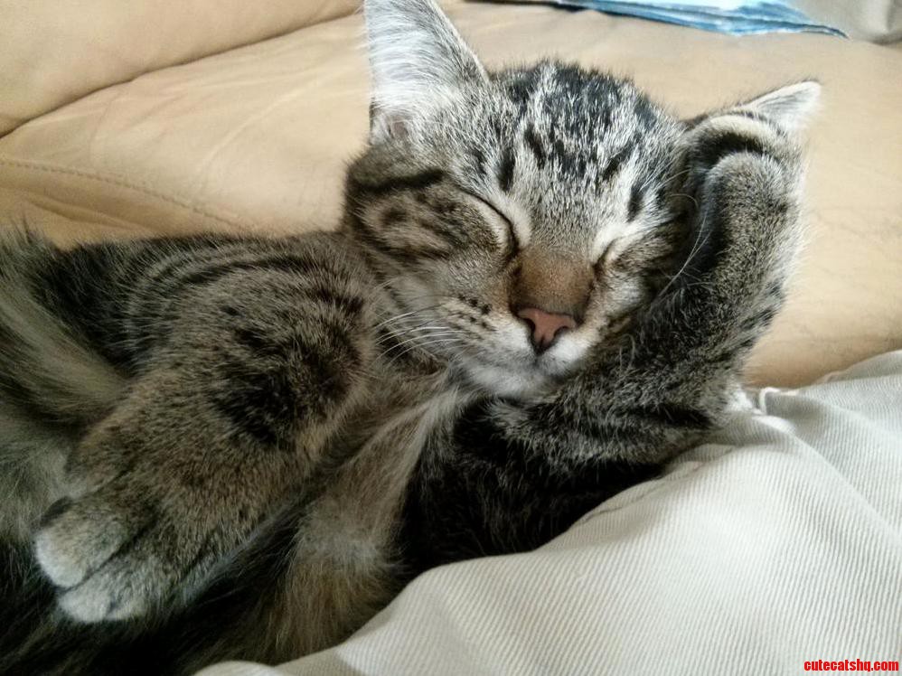 Just Daydreaming
