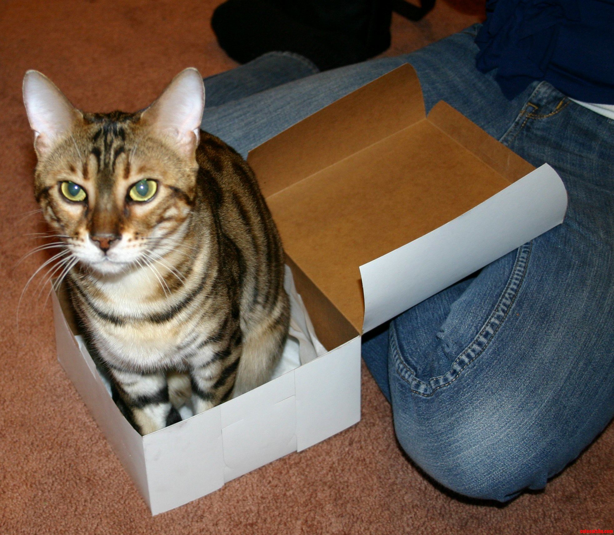 Just for Me You Shouldnt Have.