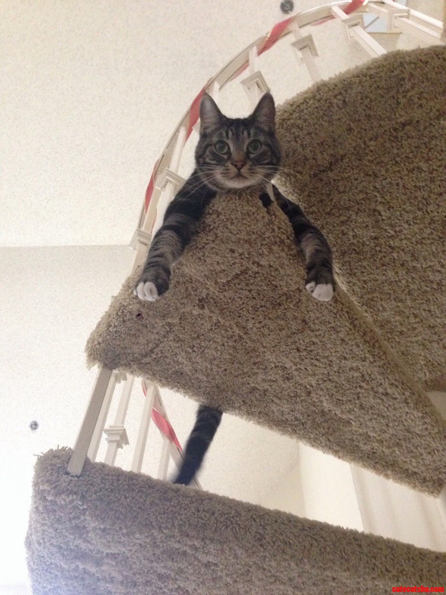 Just Hanging Out
