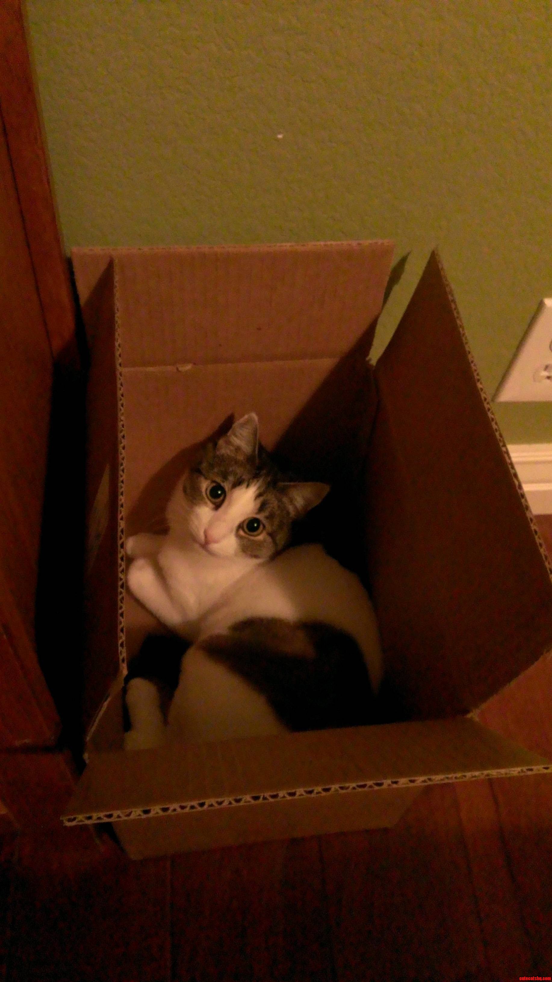 Just in a Box.