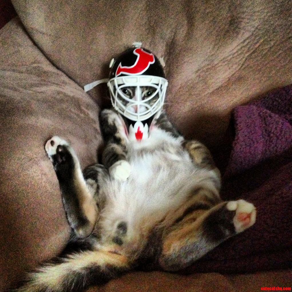 Just Watching the Game