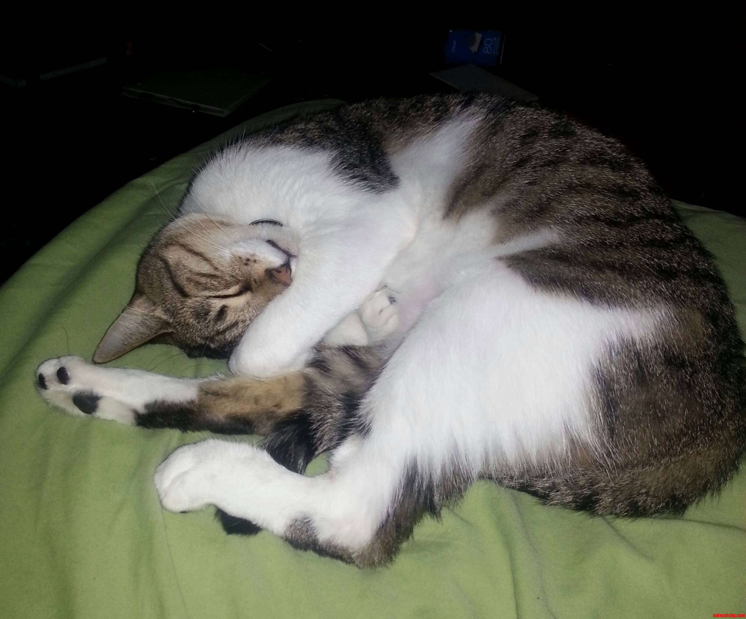 Kai Is a Sleepyhead