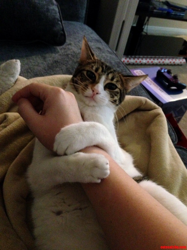 Keep Me Warm Human
