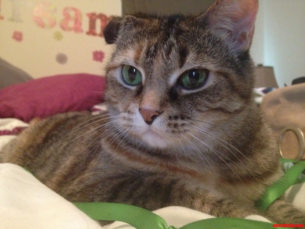 Kiki Just Hanging Out in the Bed