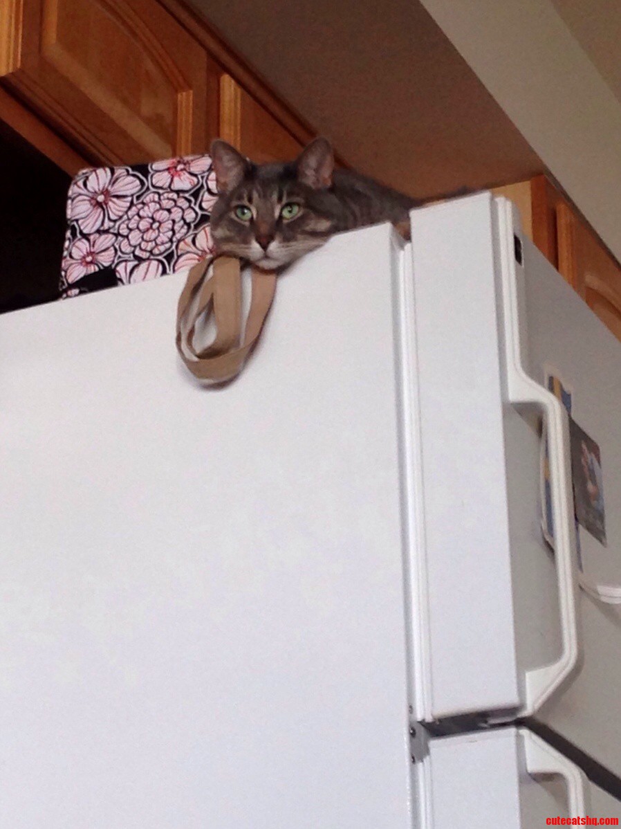 King of the Kitchen