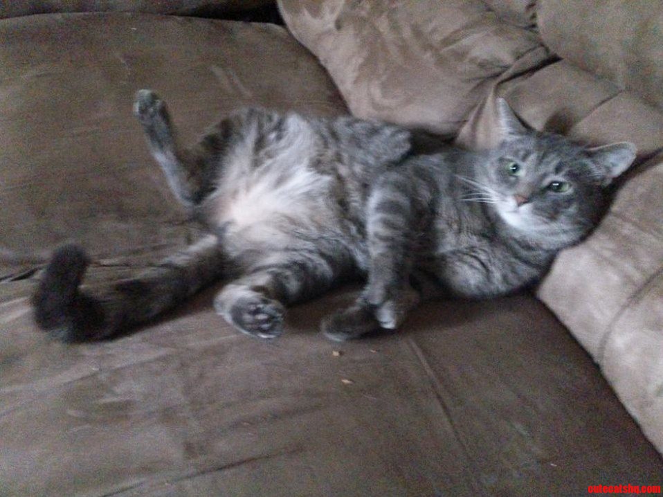 Ladies This Is 14lbs of Muscle.
