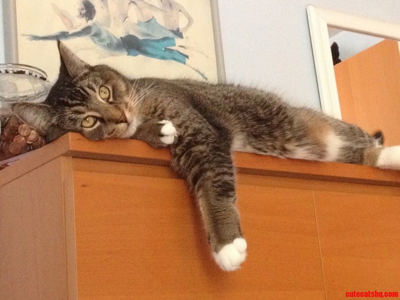 Life Is Rough.