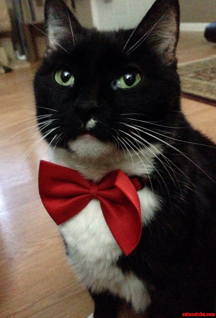 Lil Tobe Keeping It Classy.