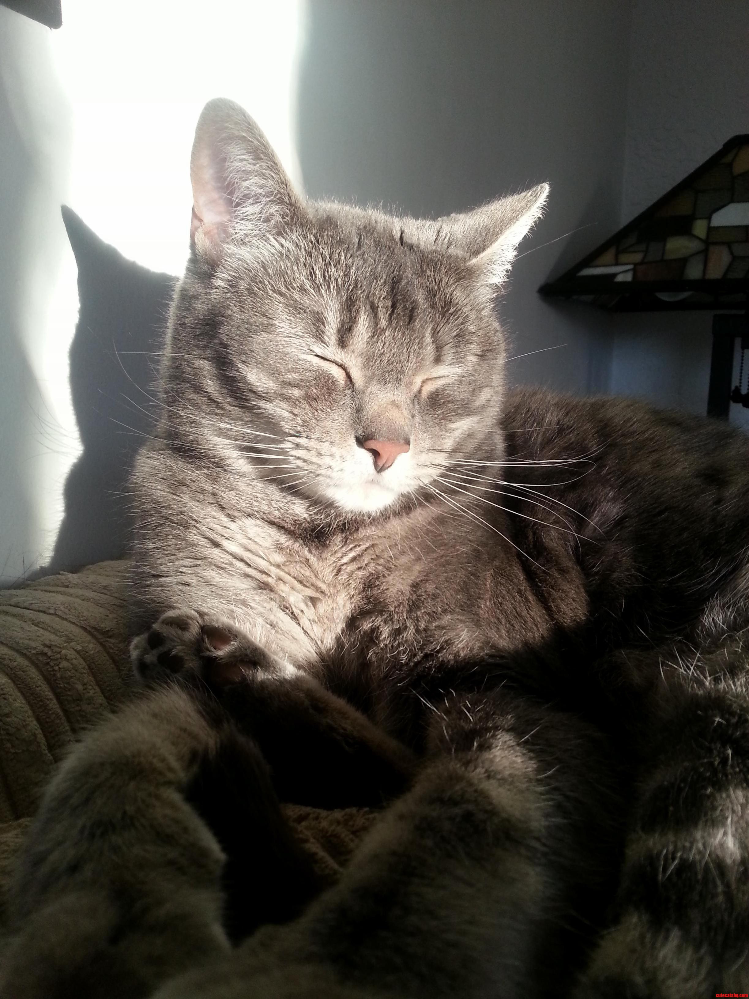 Linear Getting Blasted in the Face...by the Sun. and Lovin It.