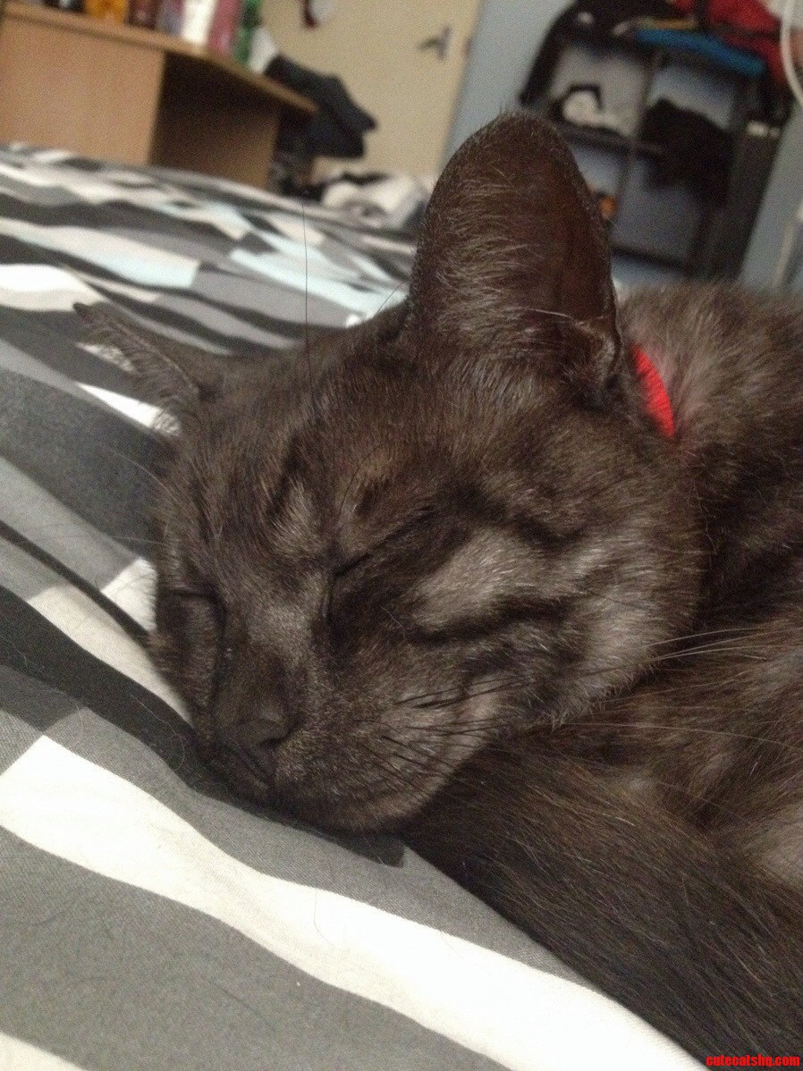 Look at That Smile