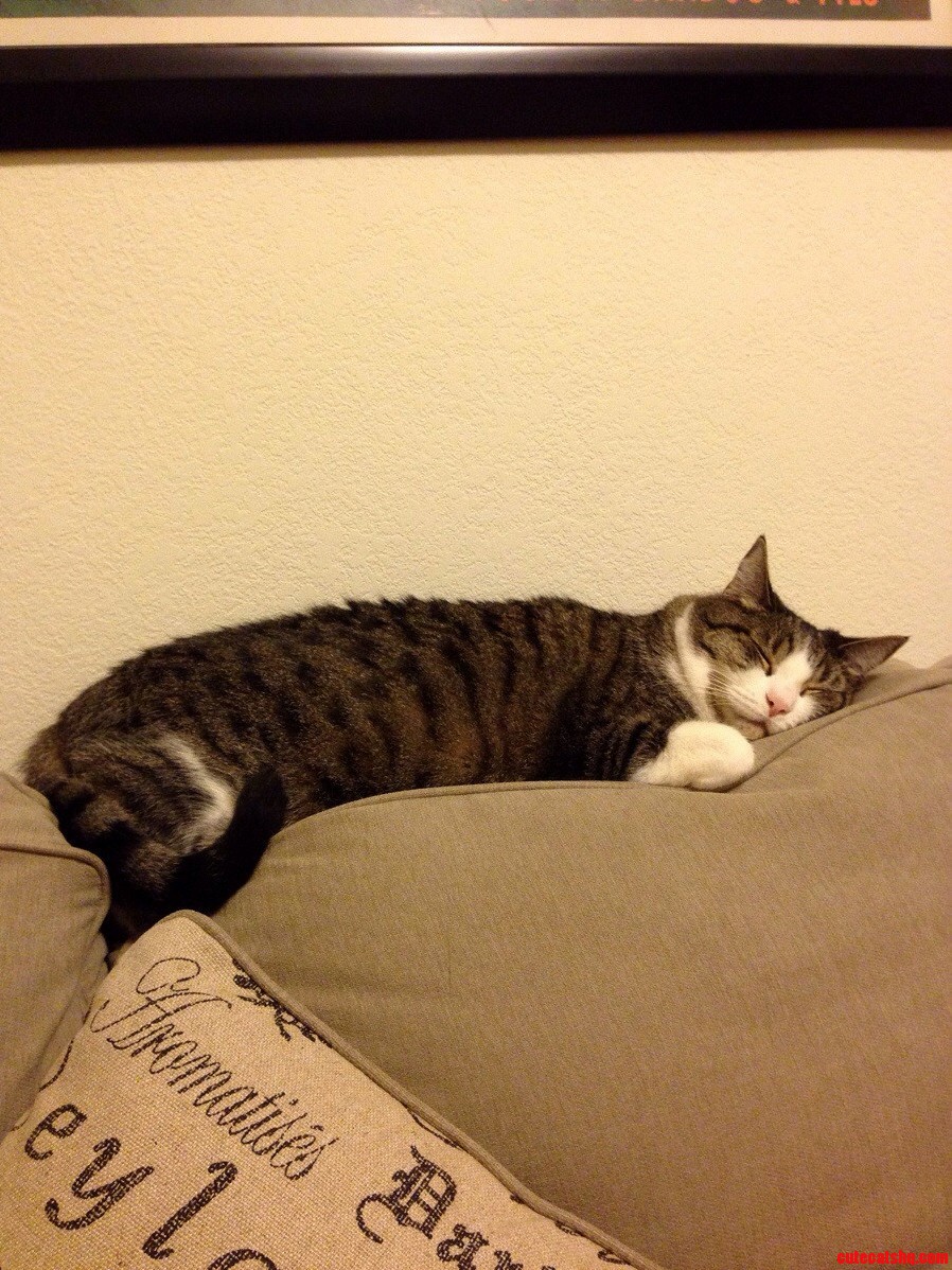 Love the Way She Lies