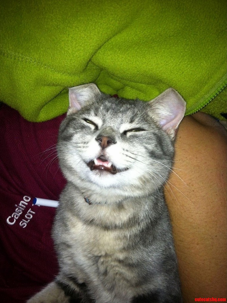 Meet Kermit. Our Durpy Sweetie.
