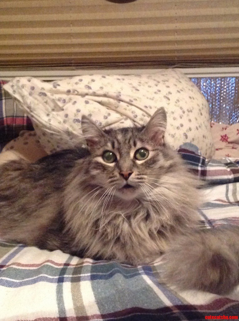 Meet My 14 Yo Boy Woody Sorry for Potato Quality.