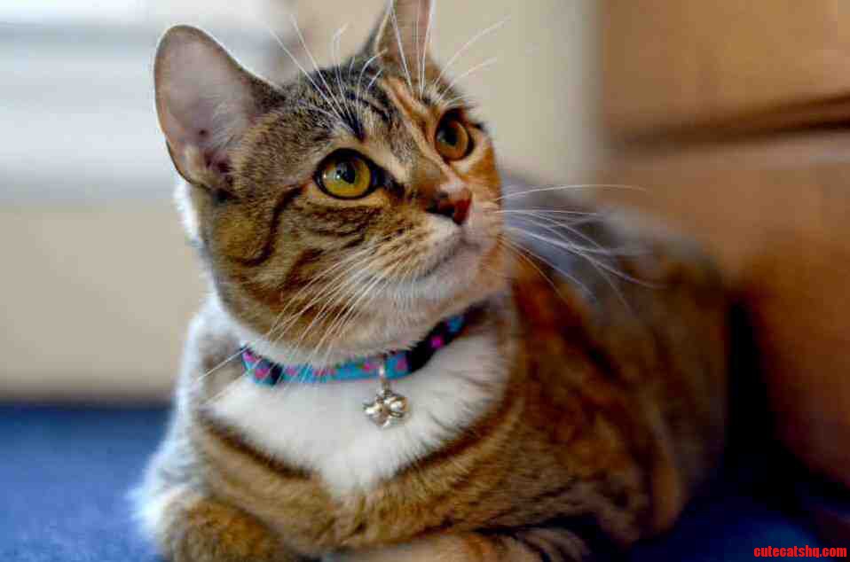Meet My Best Friend Kiki