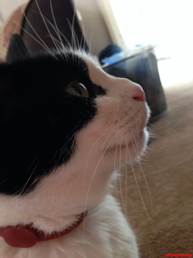 Megan Posing.