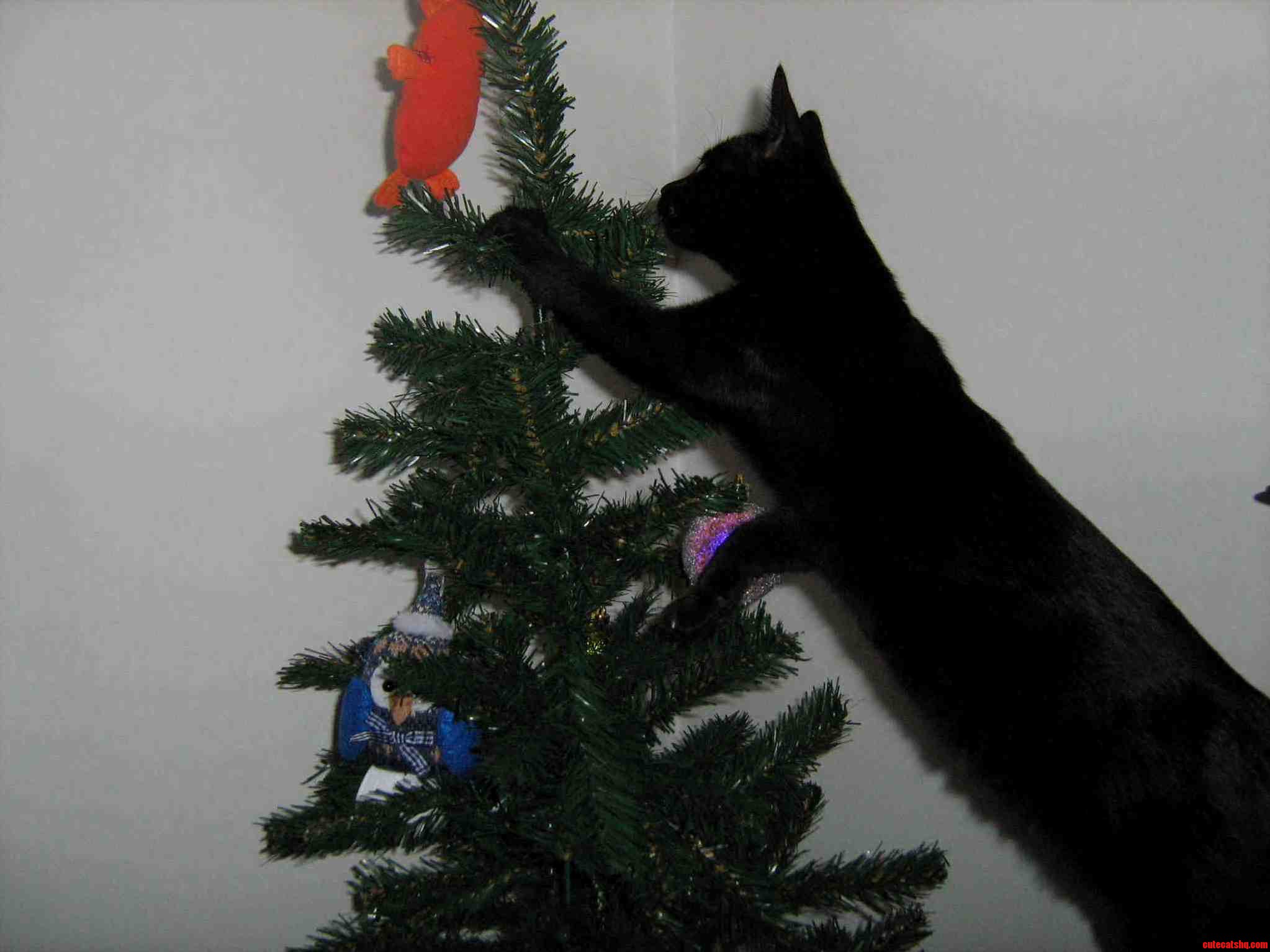 Miles Really Is Embracing the Holiday Joy...