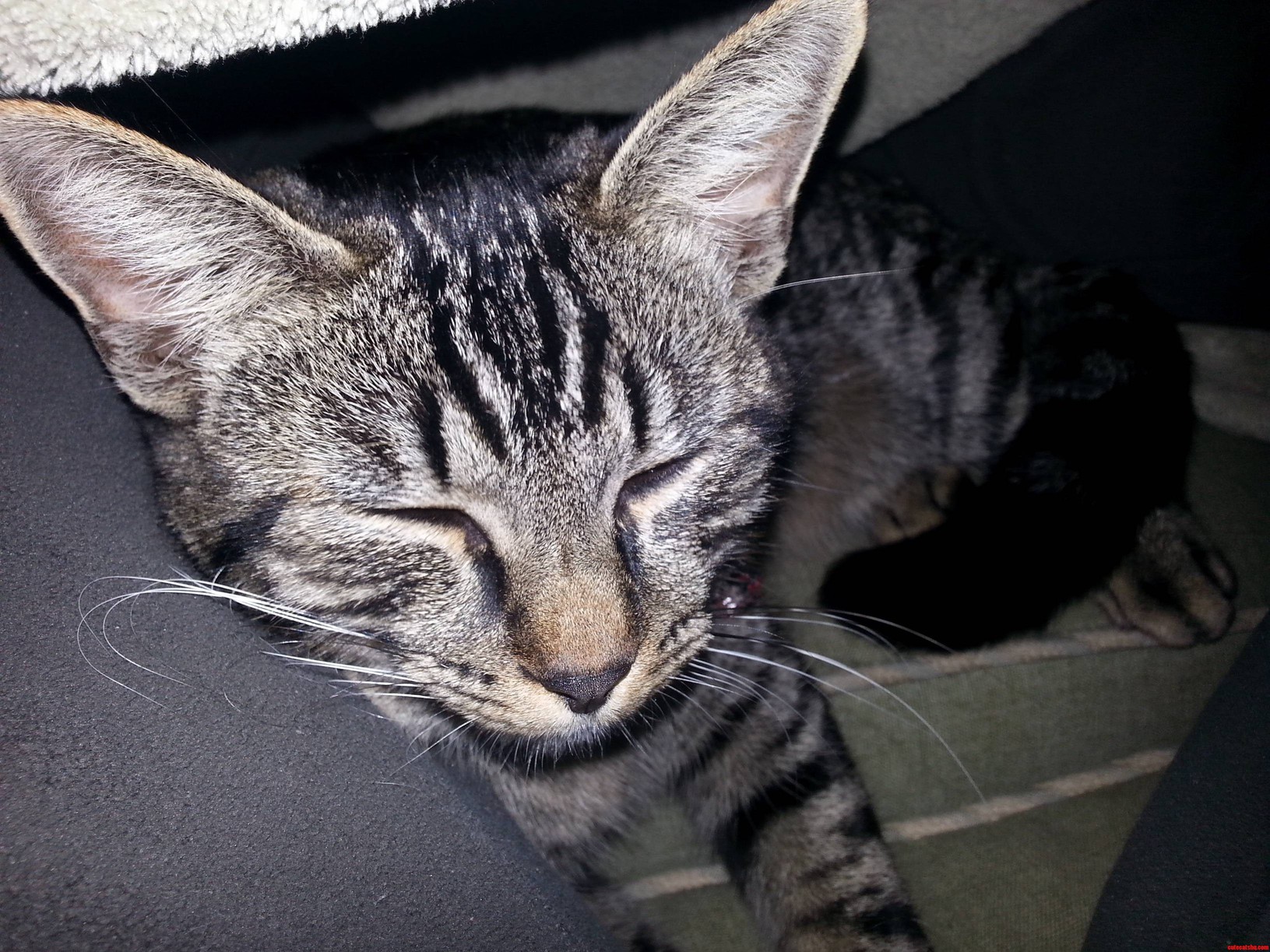 Molly Maul Being Adorable...duh.