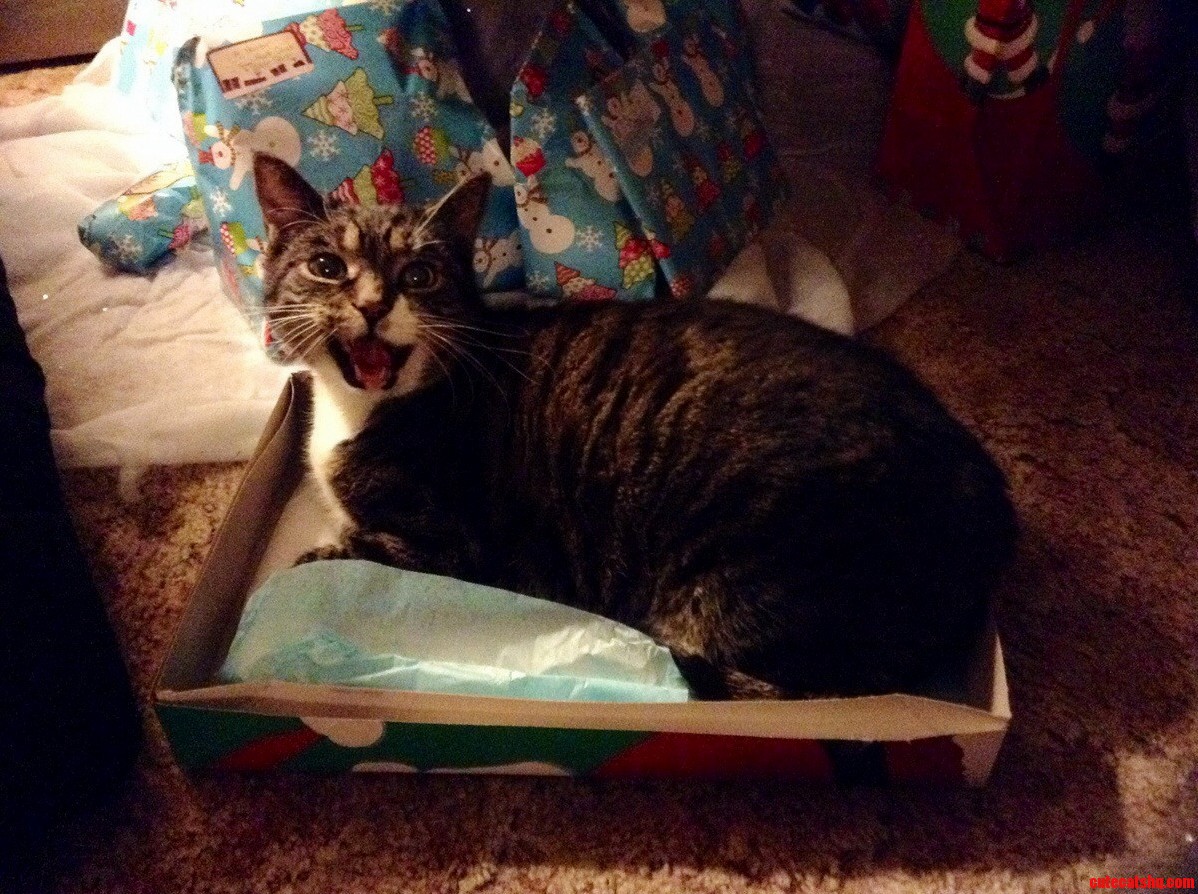 My 13 Year Old Buddy Didnt Want Me to Pick All the Boxes Up