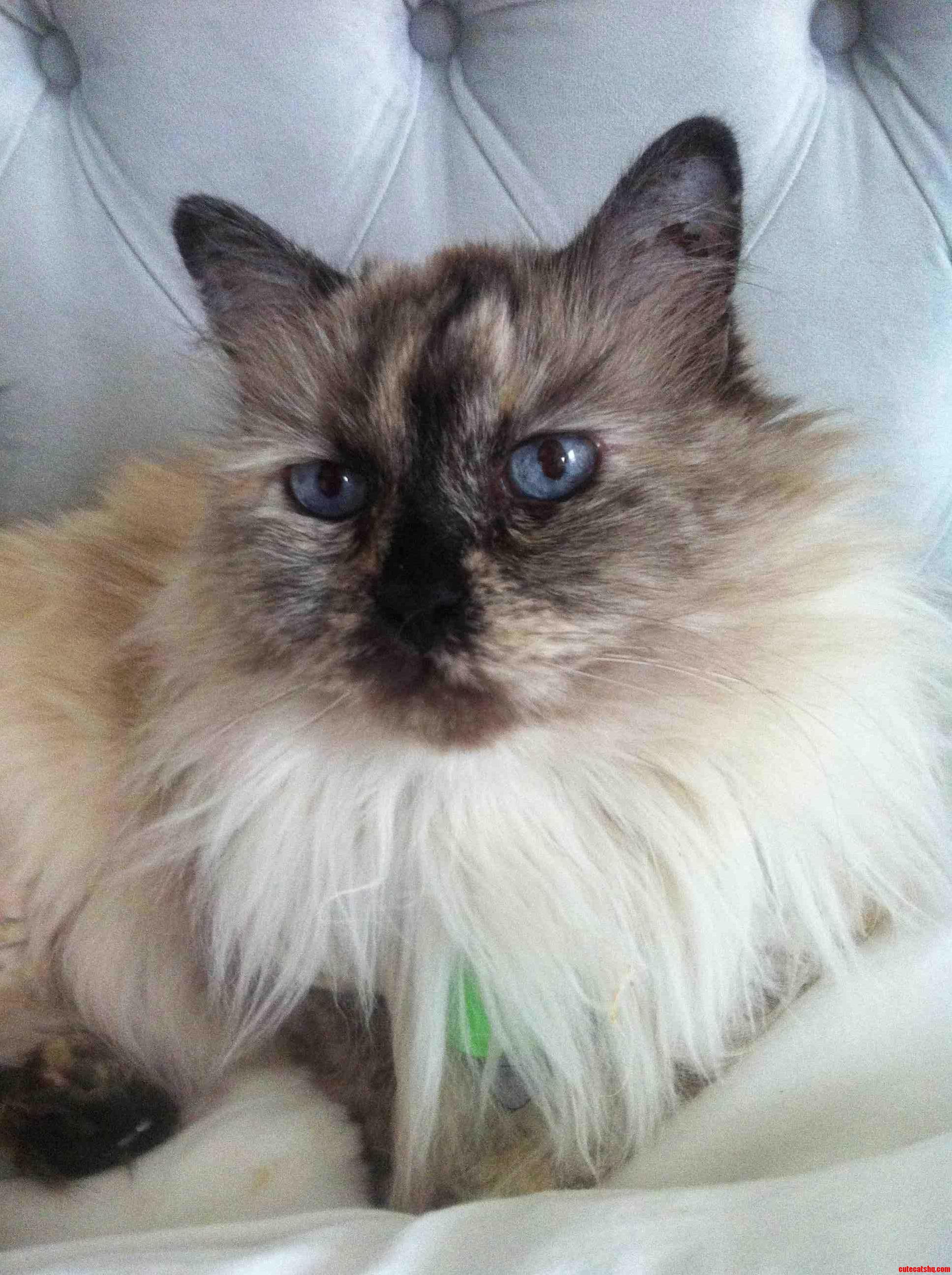 My 16 Year Old Princess Shes Perfect.