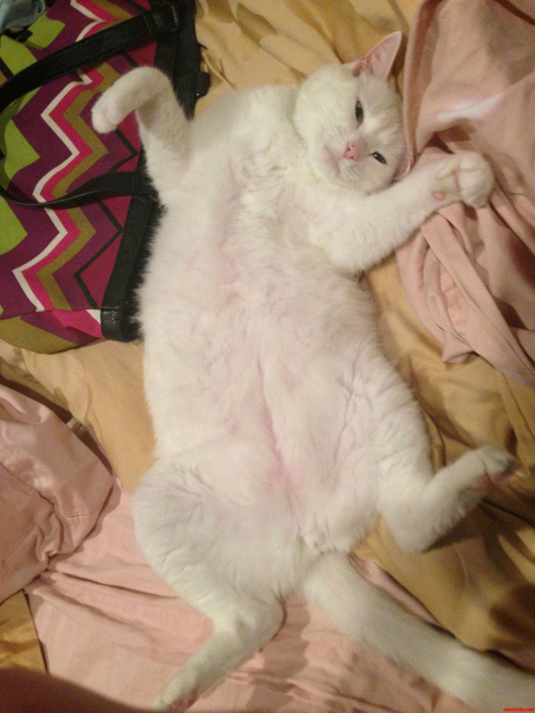 My 9 Year Old Beaus Pet Me Pose