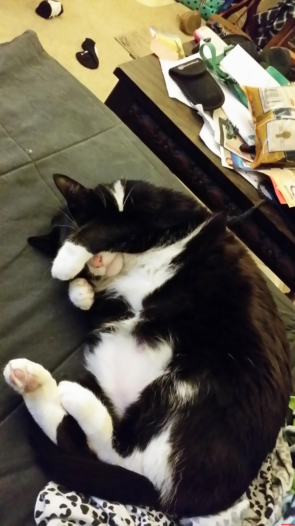My Cat Sleeping Off a Hard Day