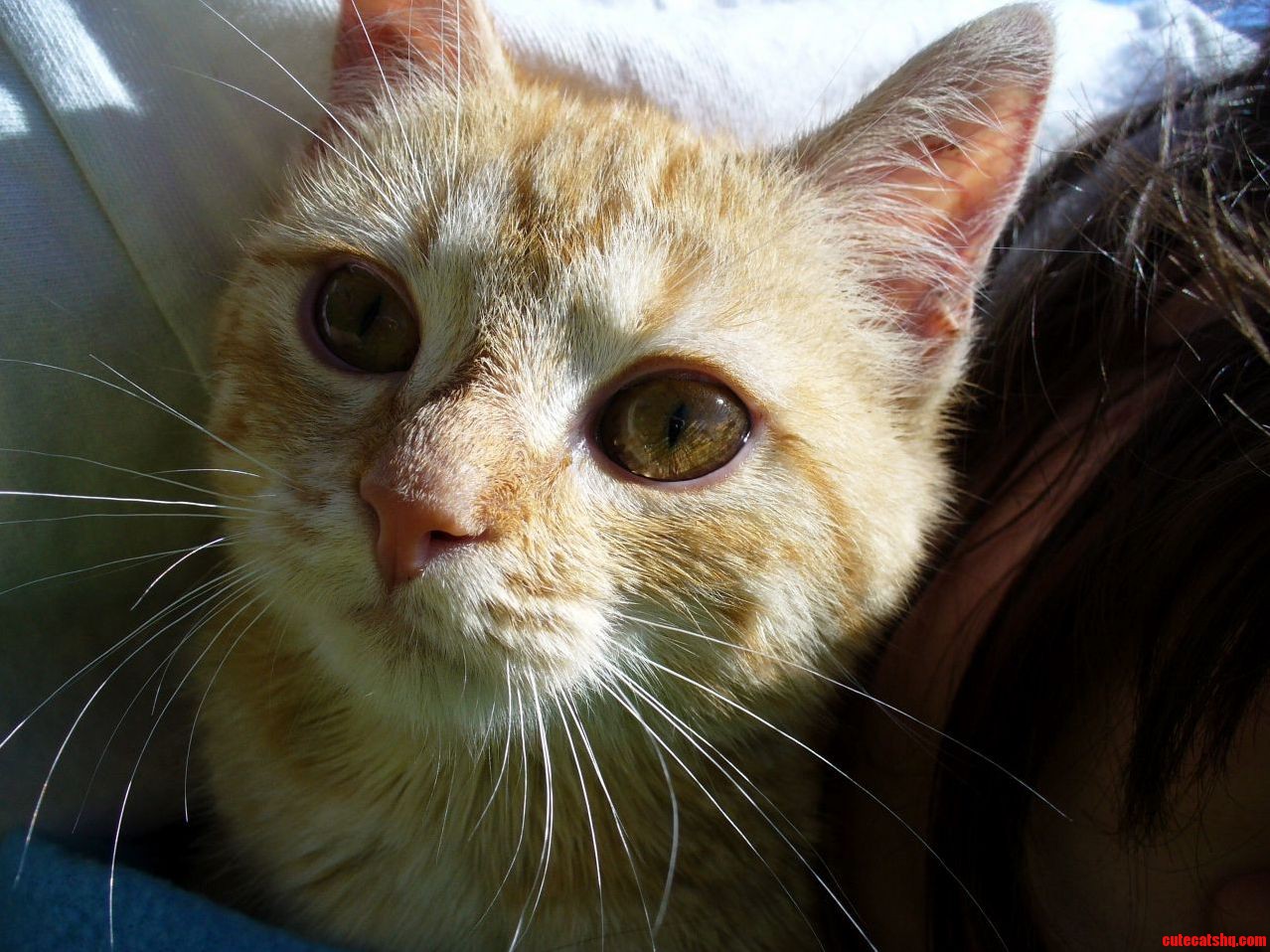 My Fuzzy.