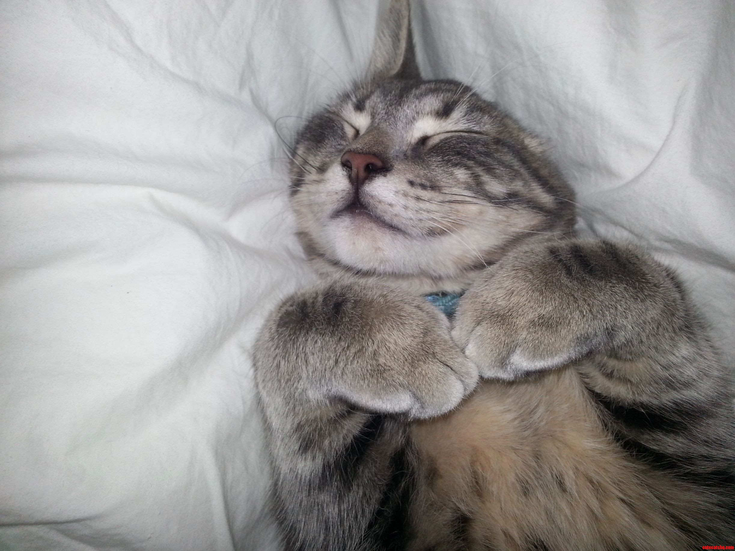 My Handsome Boy Sleeping