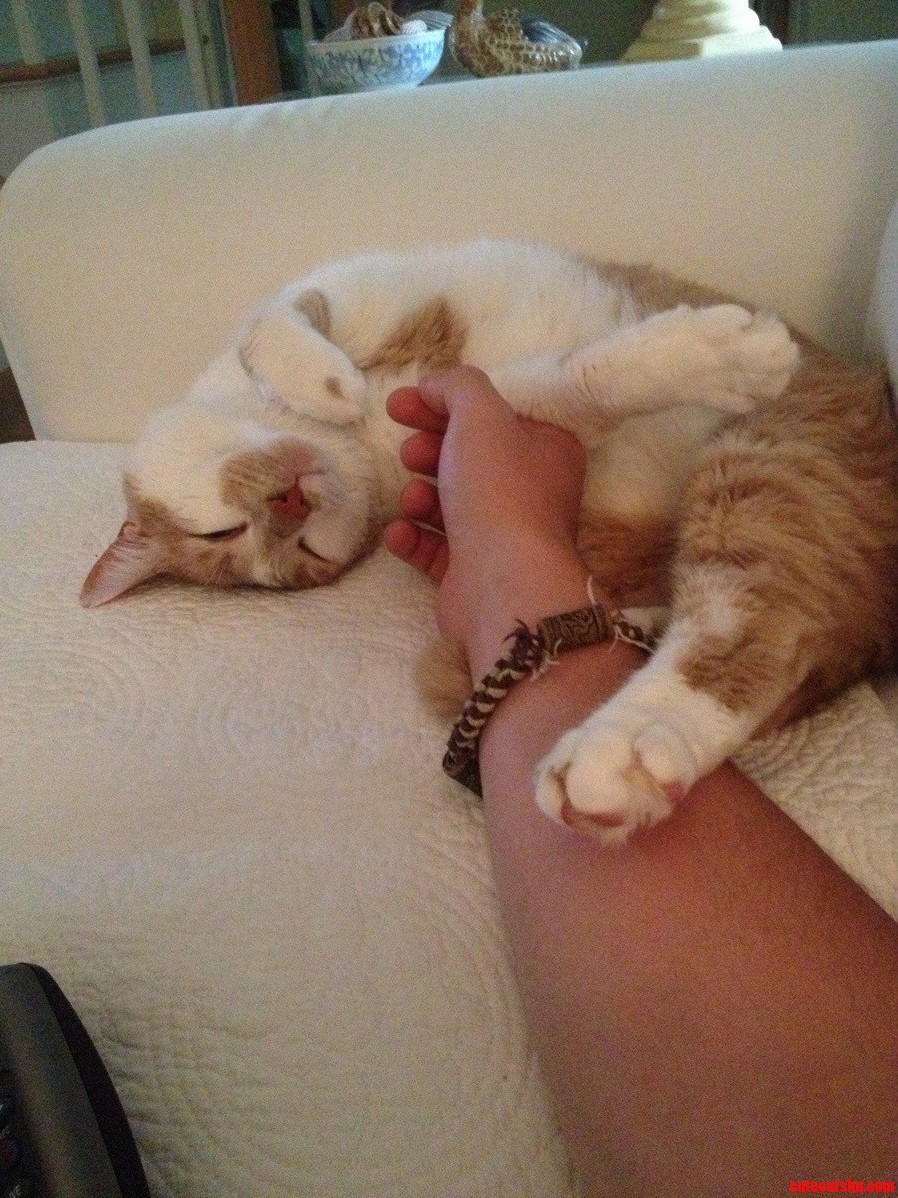 My Little Guy. His Name Is Hobbes