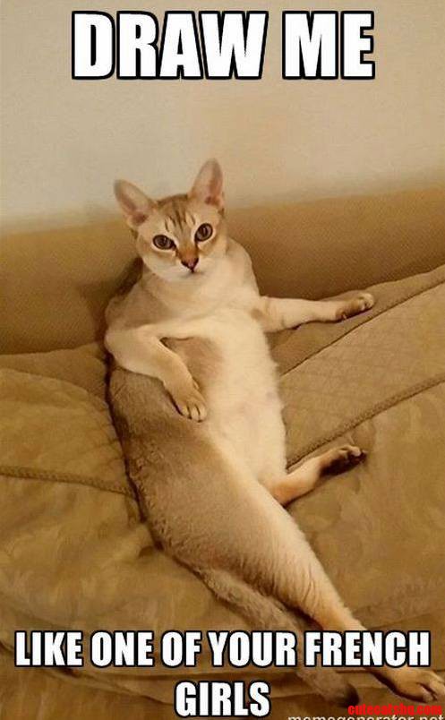 My Male Model