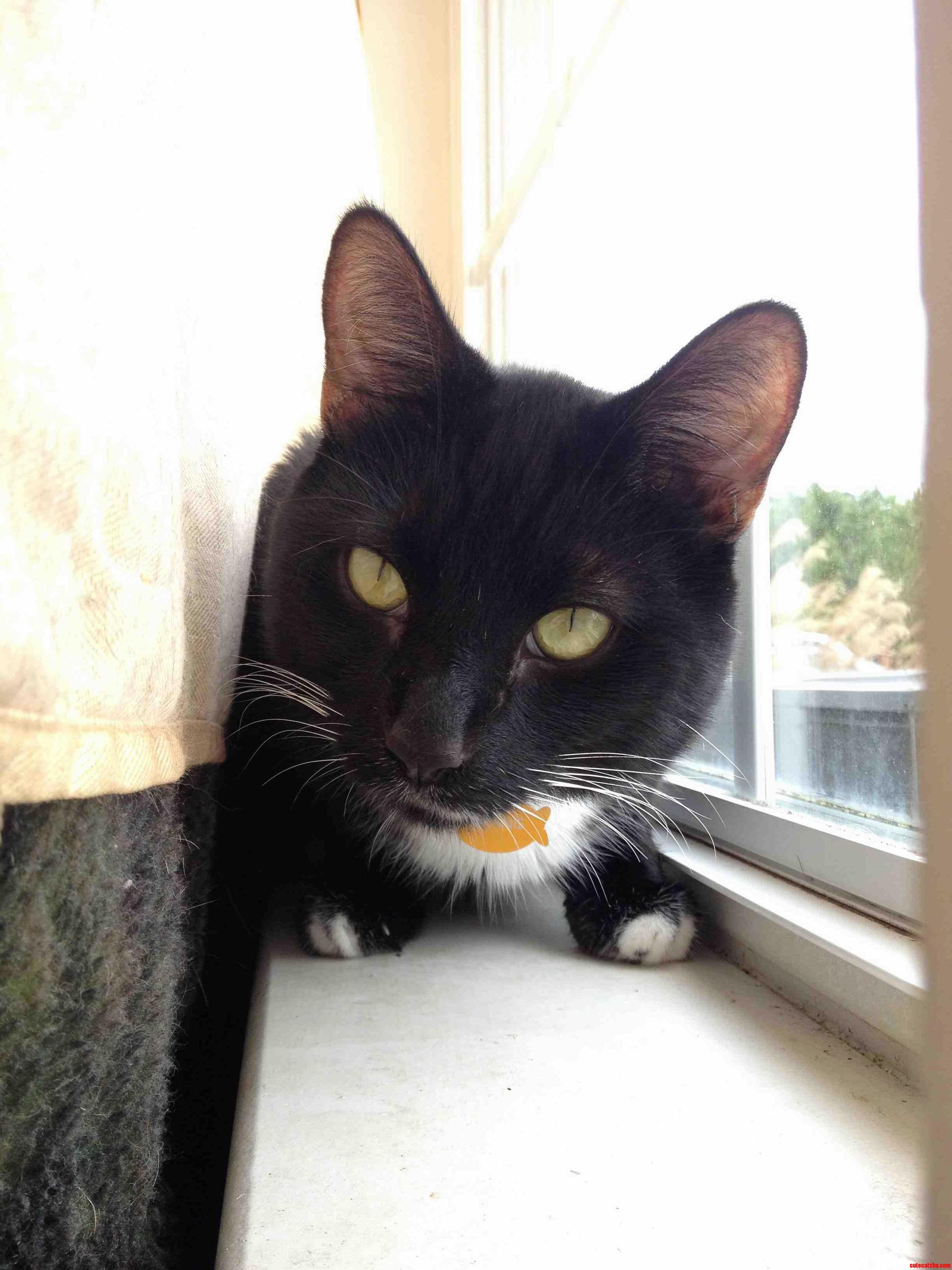 My New Favorite Photo of Him