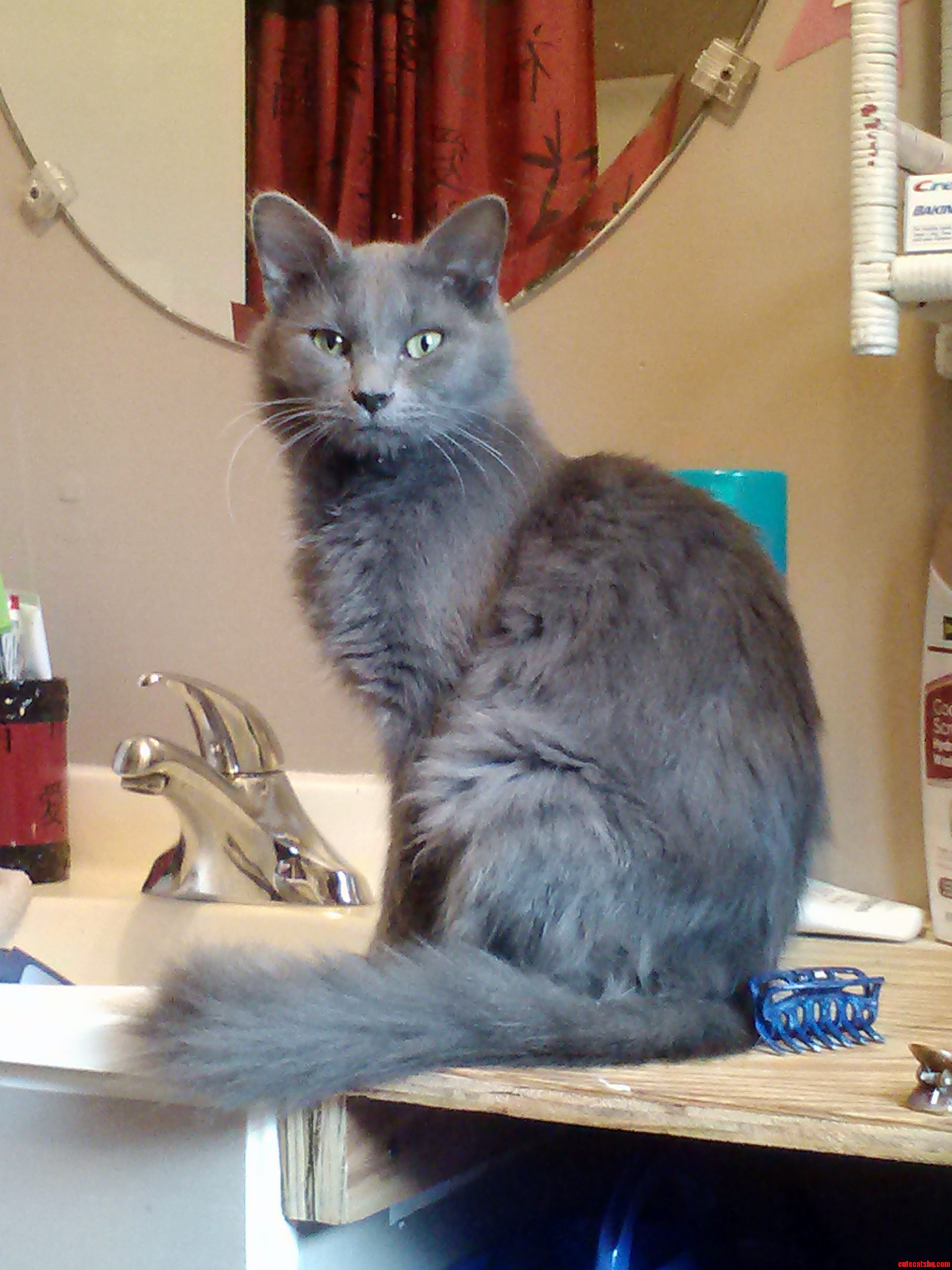 My Sweet Ashby. That I Rescued from the Middle of the Road Over a Year Ago.