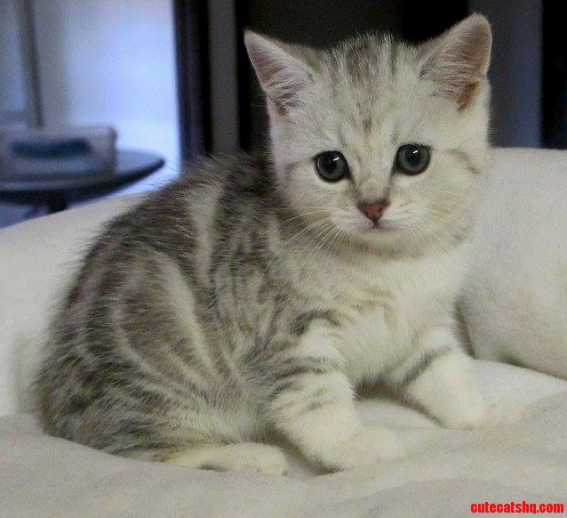 Need a Name for Him Please Help