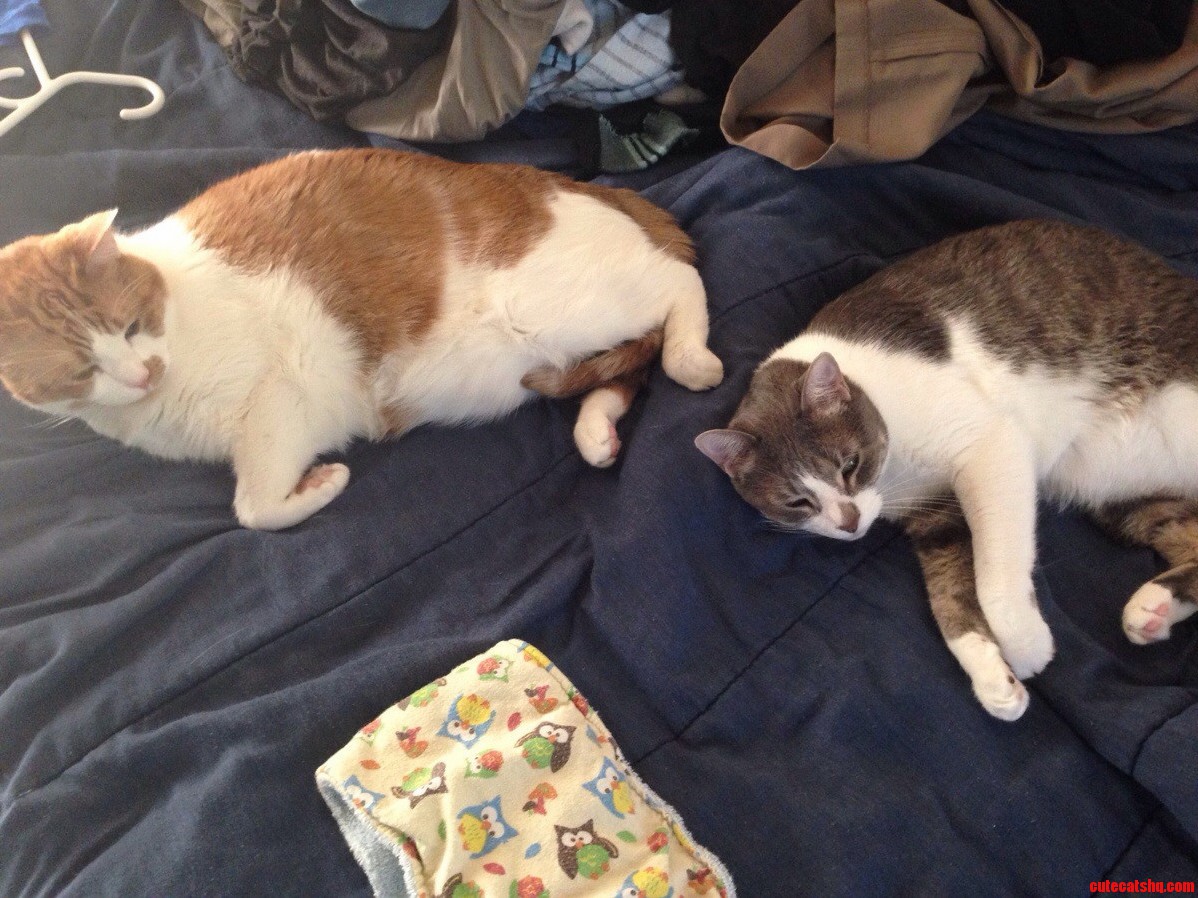 Oh Did You Want to Fold the Laundry