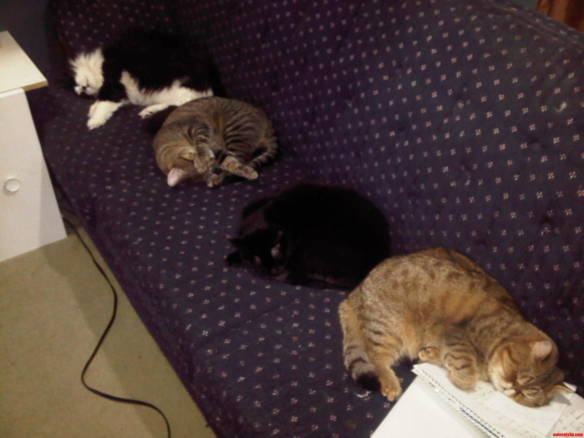 Oh Im Sorry Did You Want to Sit on the Couch After a Long Day at Work Thats Unfortunate...