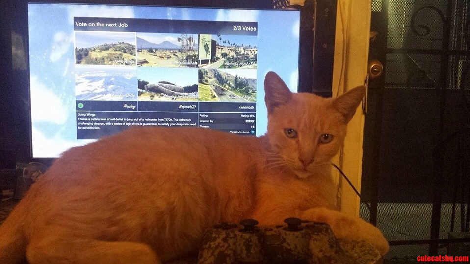 Oh Mau I Gotta Play
