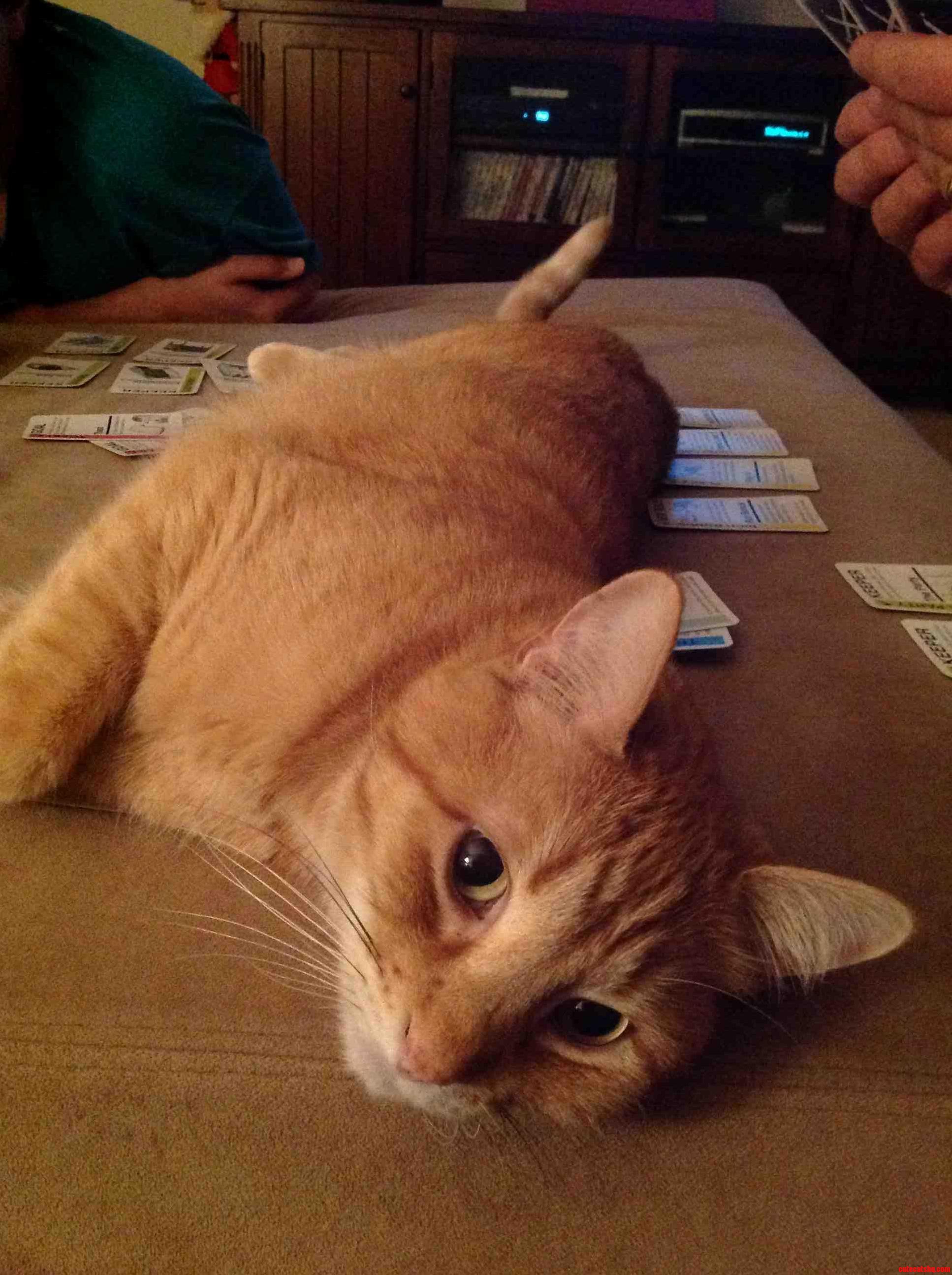 Oh Pardon Me...were You Playing a Game