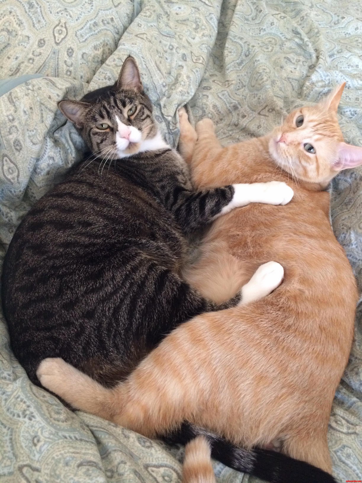 Oh Sorry Am I Interrupting