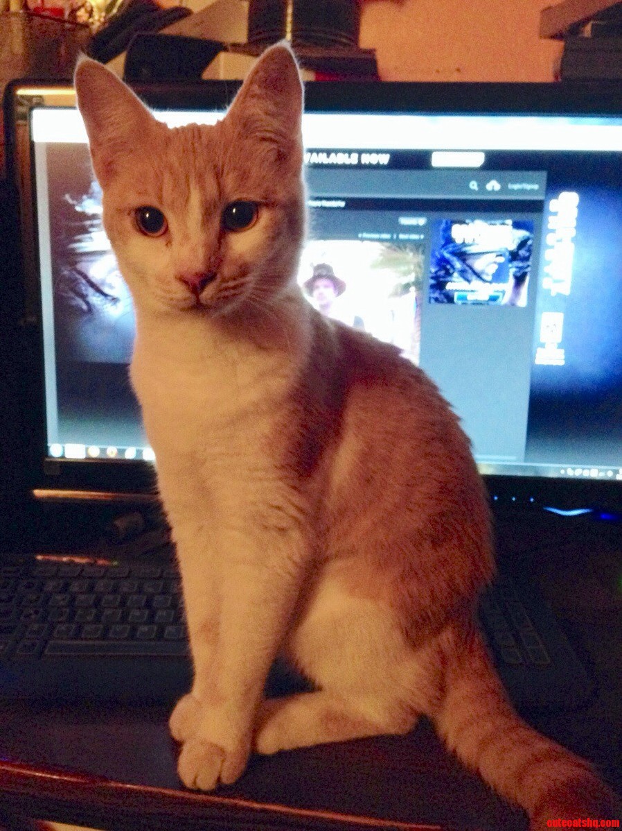 Oh Sorry Were You Watching Something