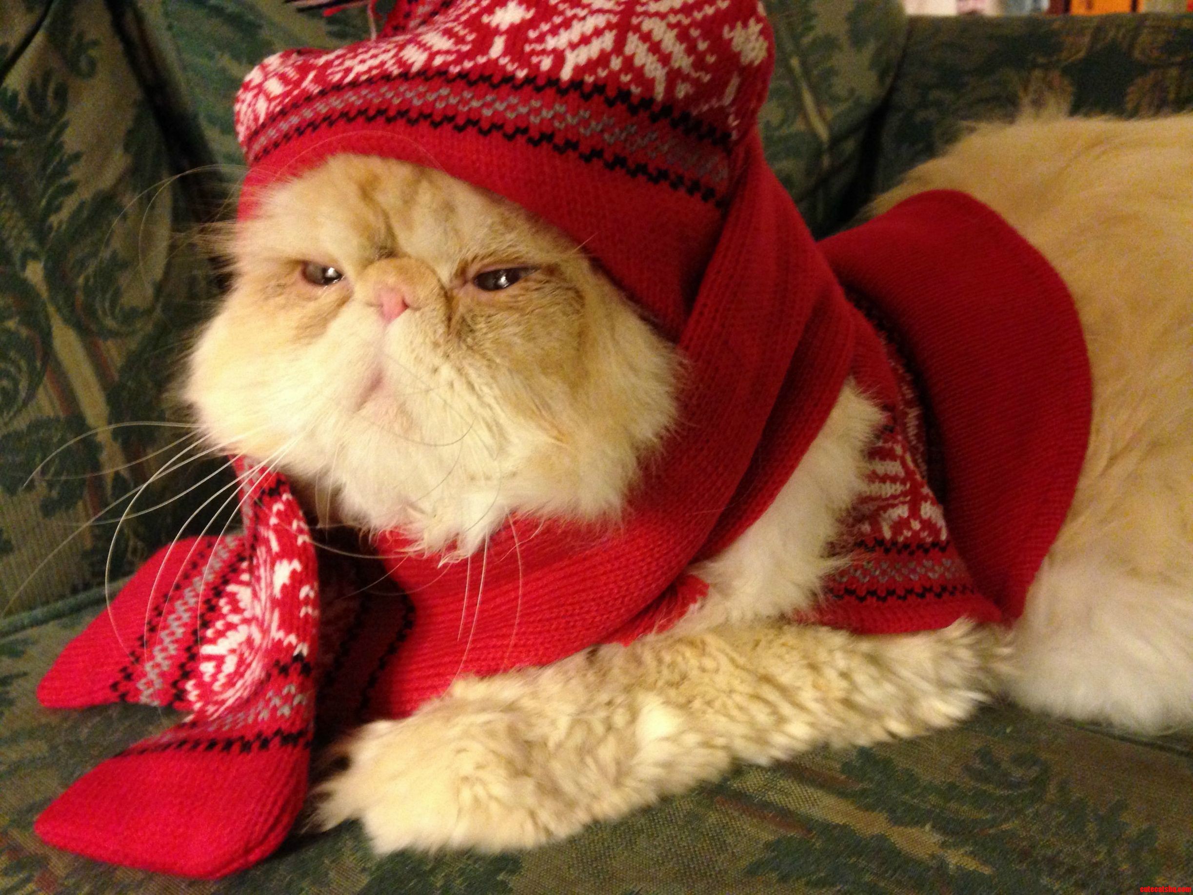 Oh the Weather Outside Is Frightful but the Fire Is Going to Burn This House Down...