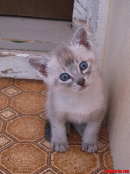 One of My Little Ones When He Was a Really Little One.