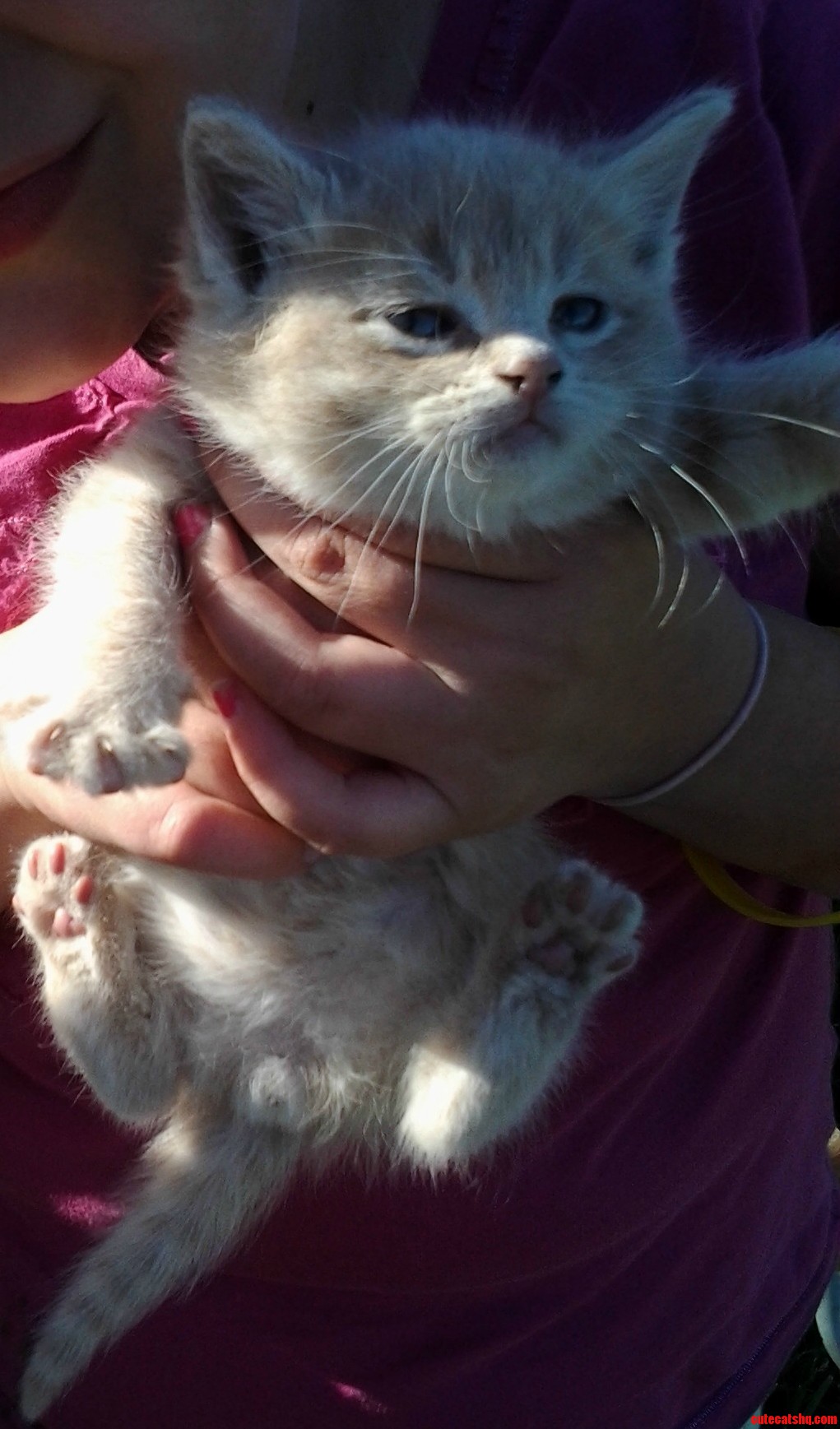 Our Daughters Baby. Chubby